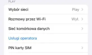 Jak włączyć roaming w Play i uniknąć wysokich kosztów za granicą